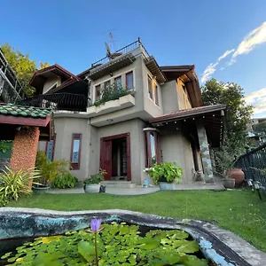 蒲公英旅馆 康提